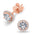 Earrings 0.5 Carats *2 VVS1 Round Cut